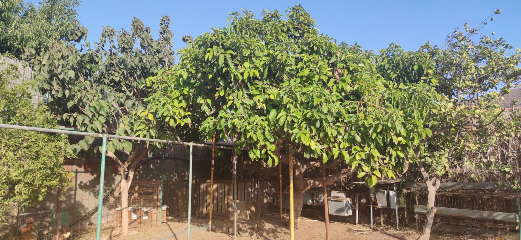 Casita Leos Apartman Agüimes Kültér fotó